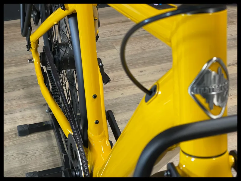 Momentum Voya E+2 25km/h Medium Bumblebee 2023-3